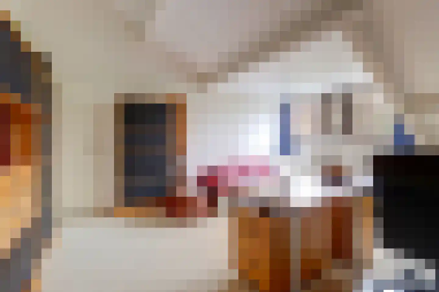 De Kring 3 Zwijndrecht thumbnail 34