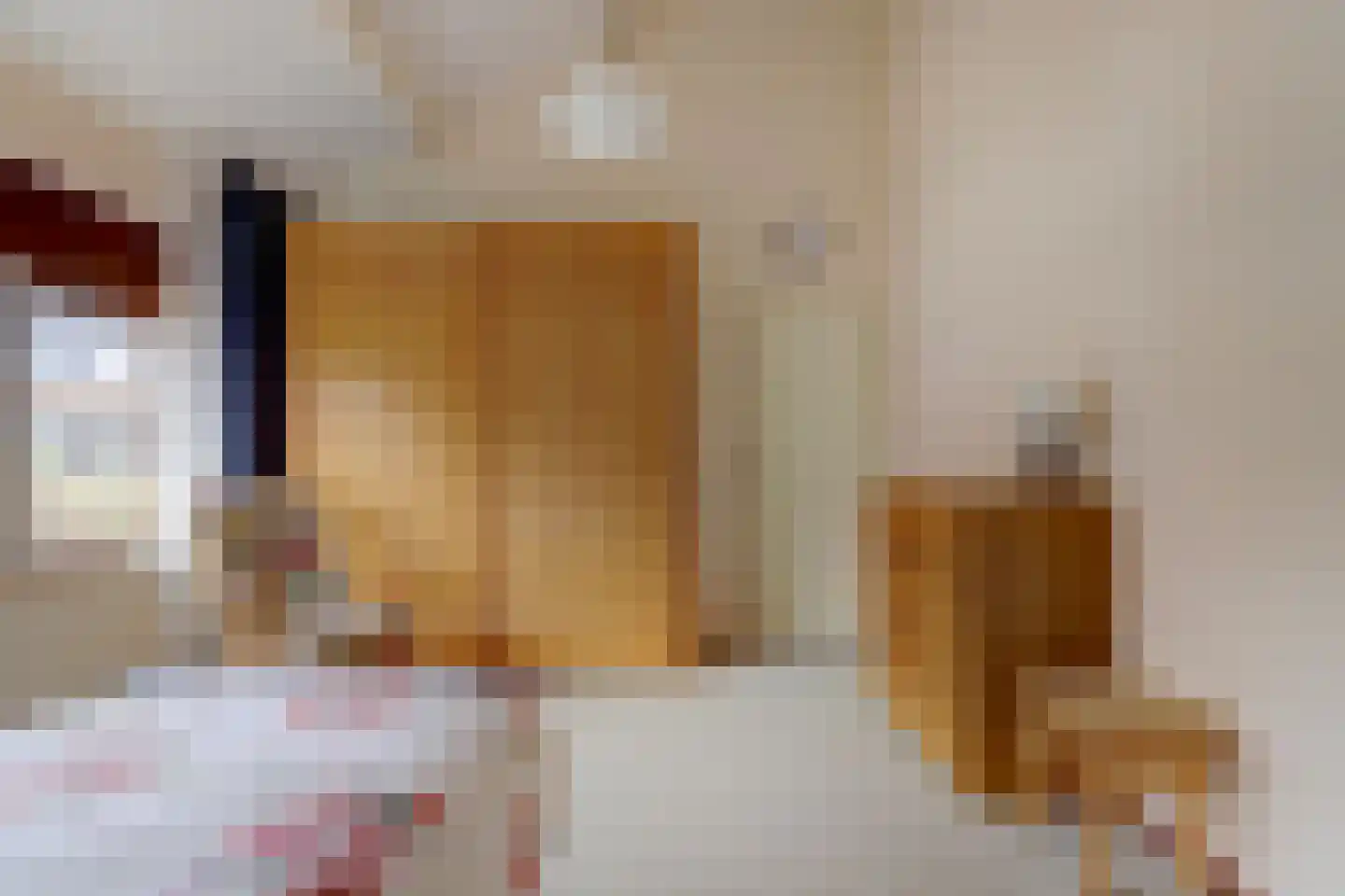 De Kring 3 Zwijndrecht thumbnail 36