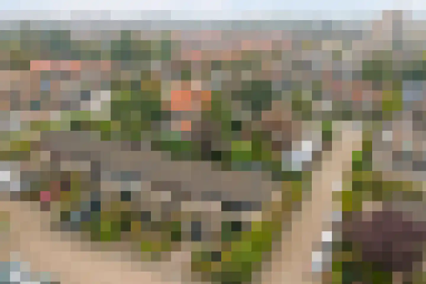 De Kring 3 Zwijndrecht thumbnail 45