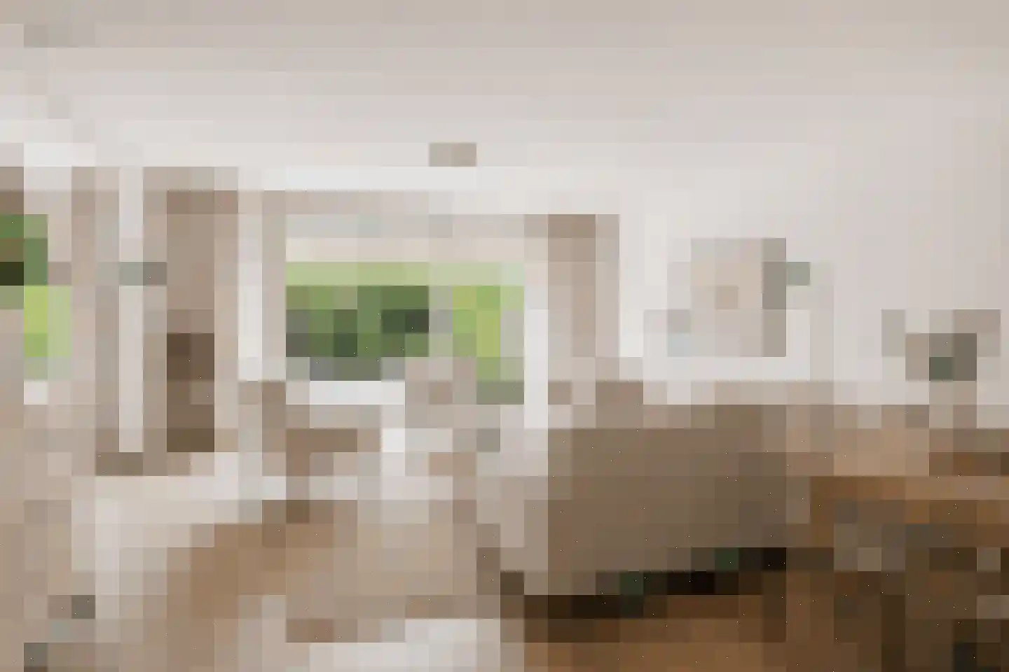 De Kring 3 Zwijndrecht thumbnail 6