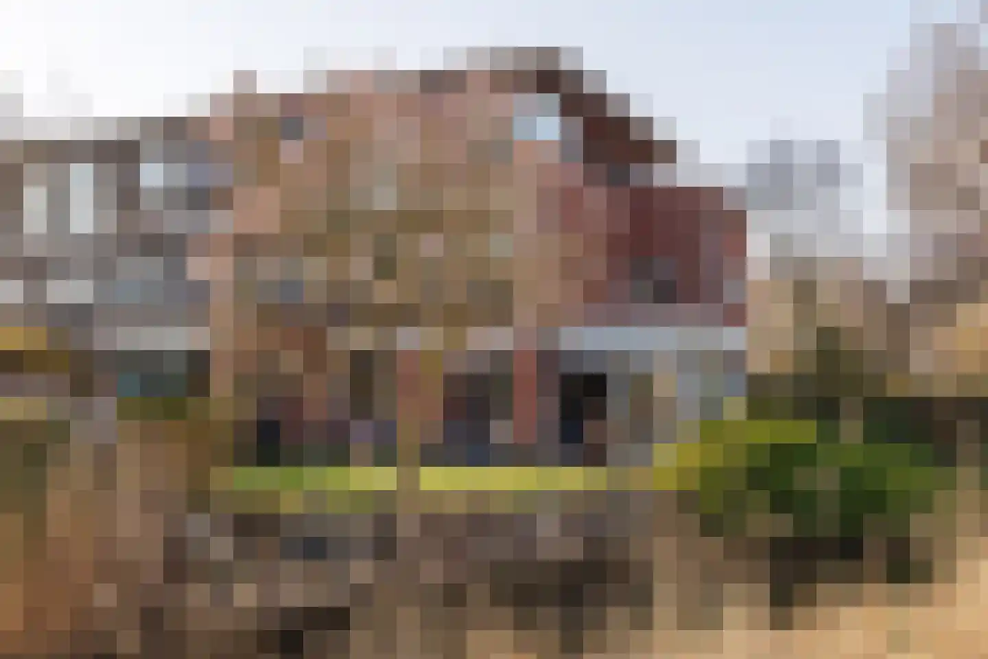 De Kringloop 1 in Delft