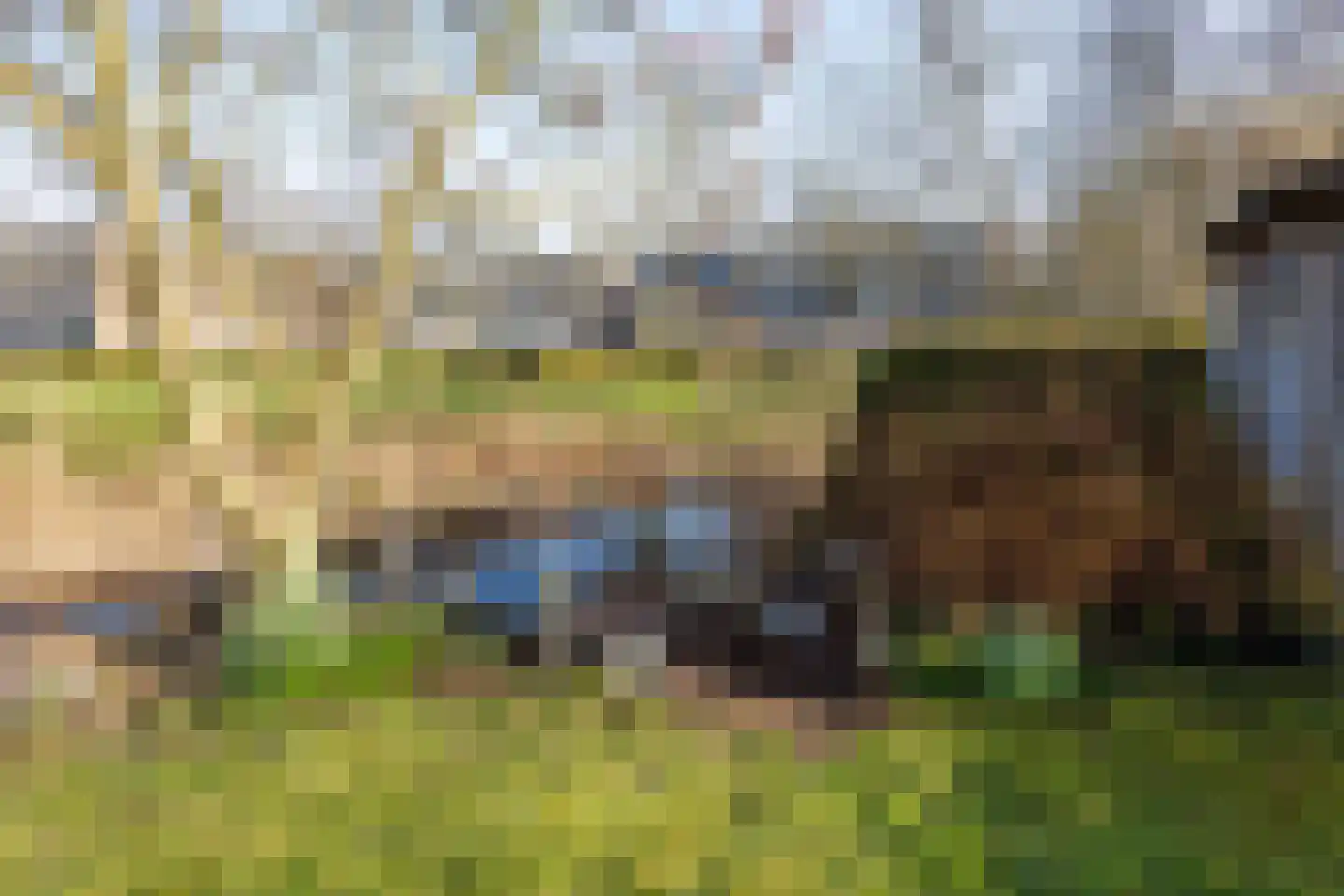 De Kringloop 1 Delft thumbnail 22