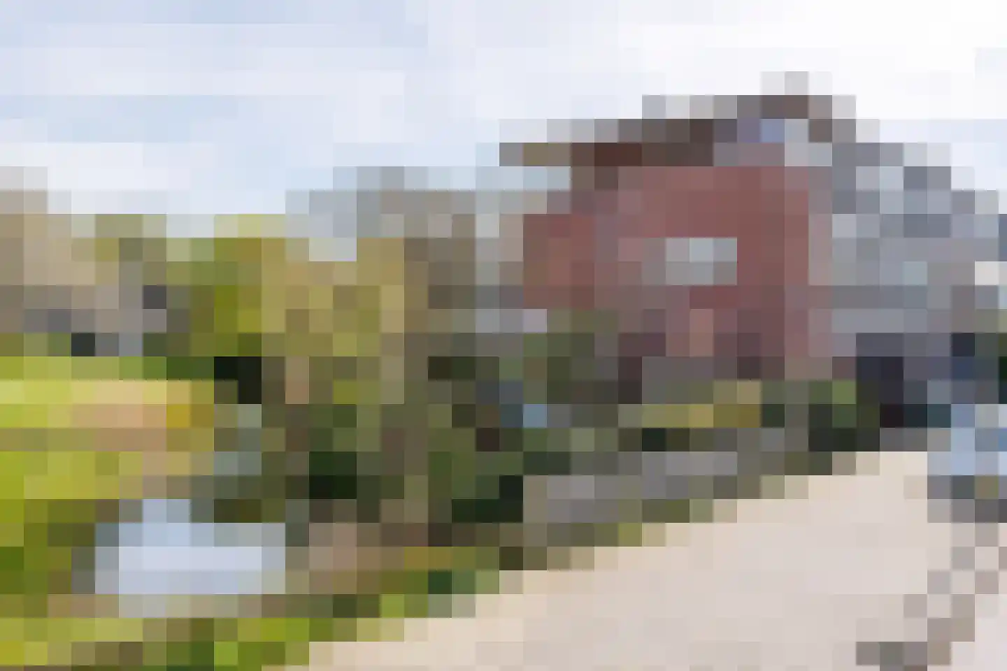 De Kringloop 1 Delft thumbnail 4