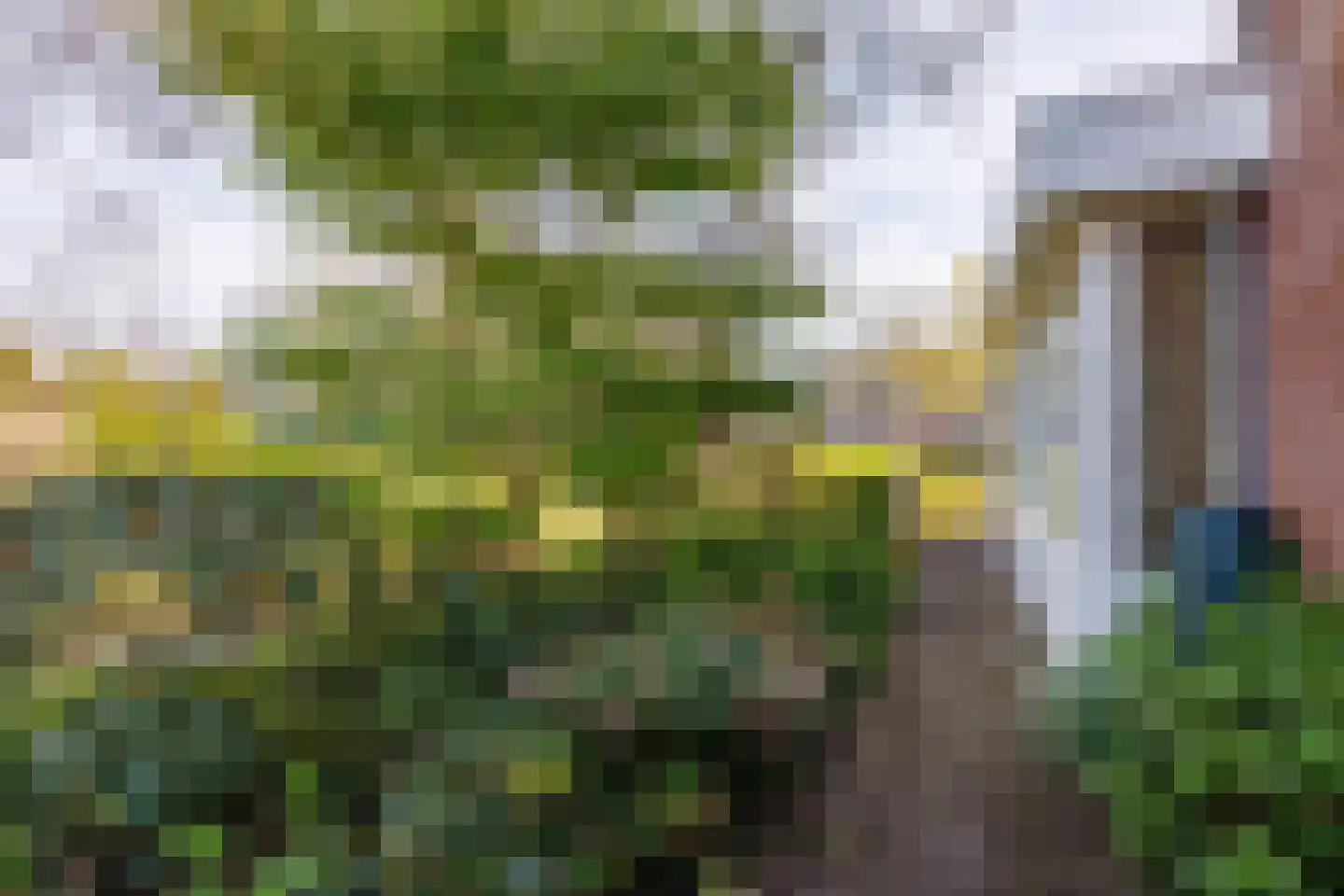De Kringloop 1 Delft thumbnail 51