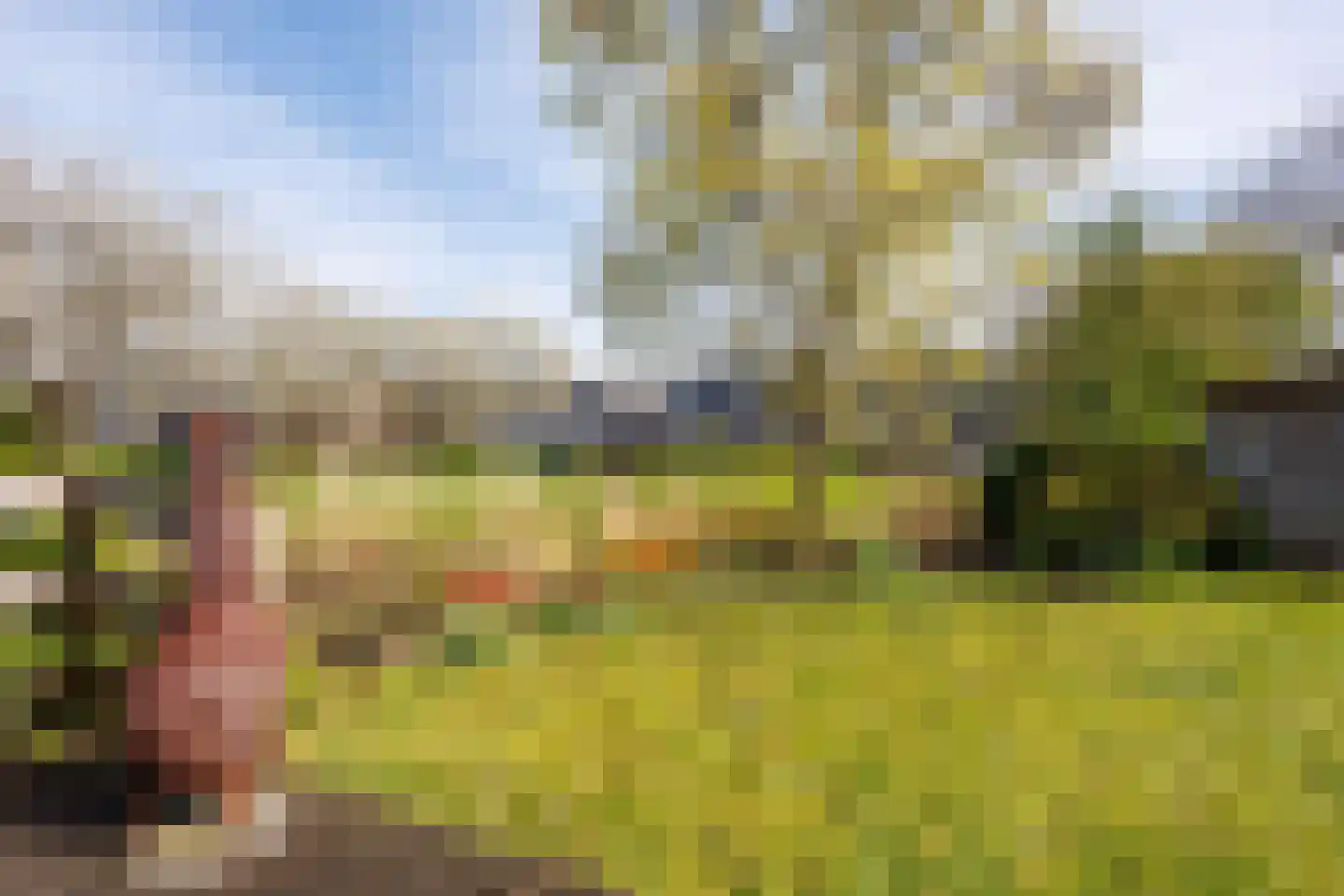 De Kringloop 1 Delft thumbnail 57