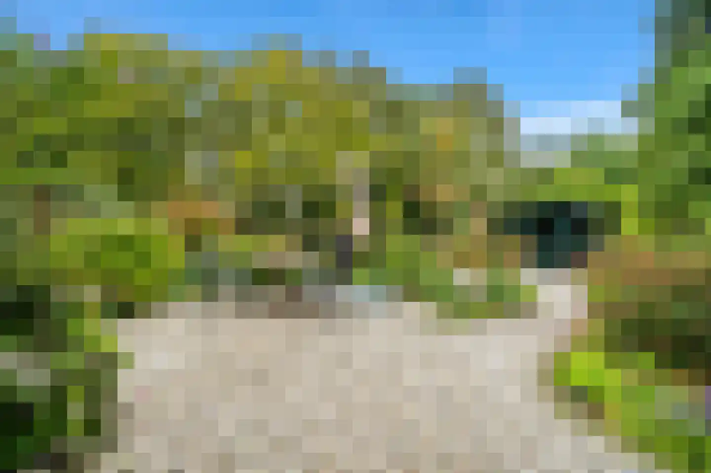De Kringloop 12 Delft thumbnail 14