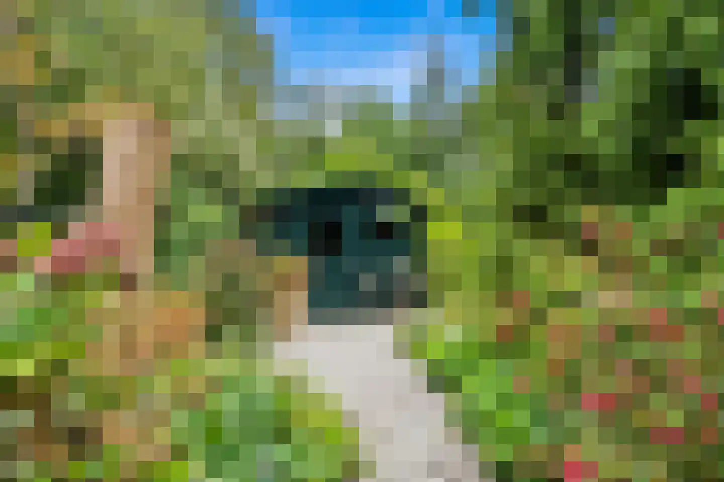 De Kringloop 12 Delft thumbnail 16