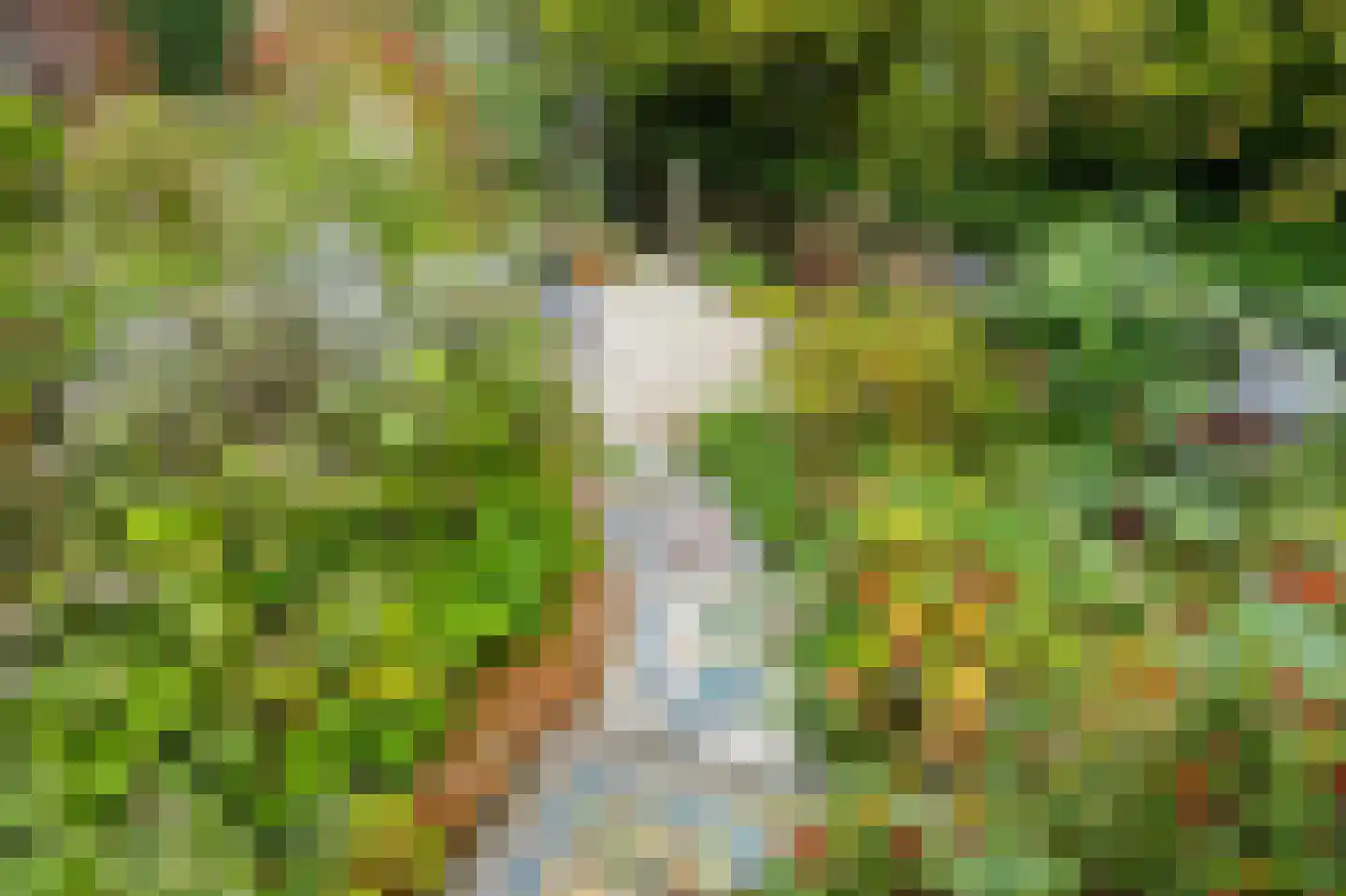 De Kringloop 12 Delft thumbnail 17