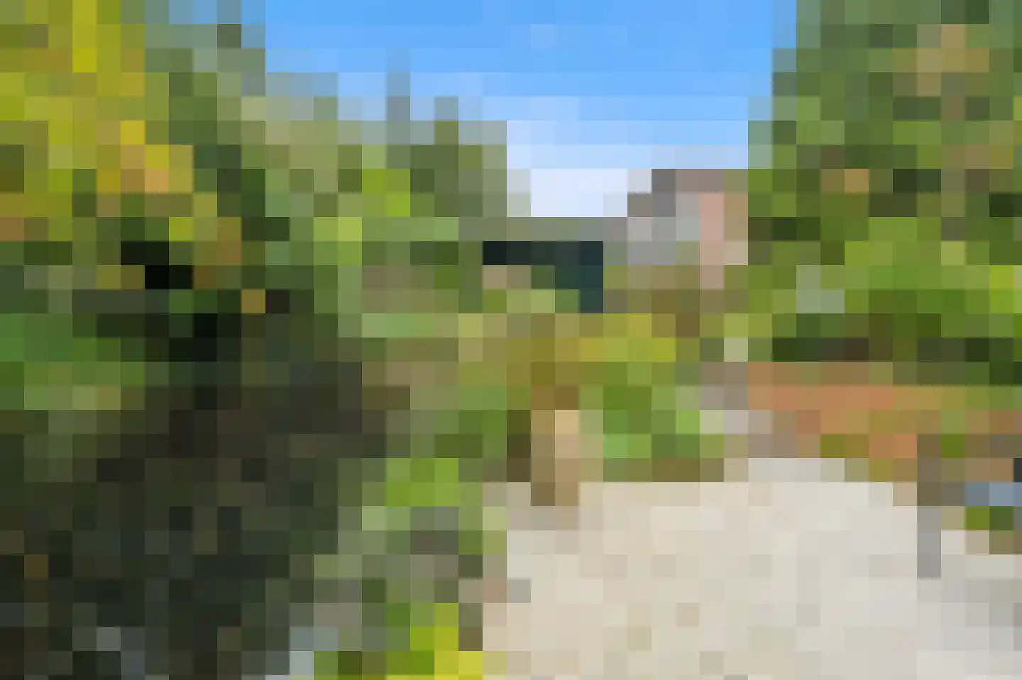 De Kringloop 12 Delft thumbnail 18