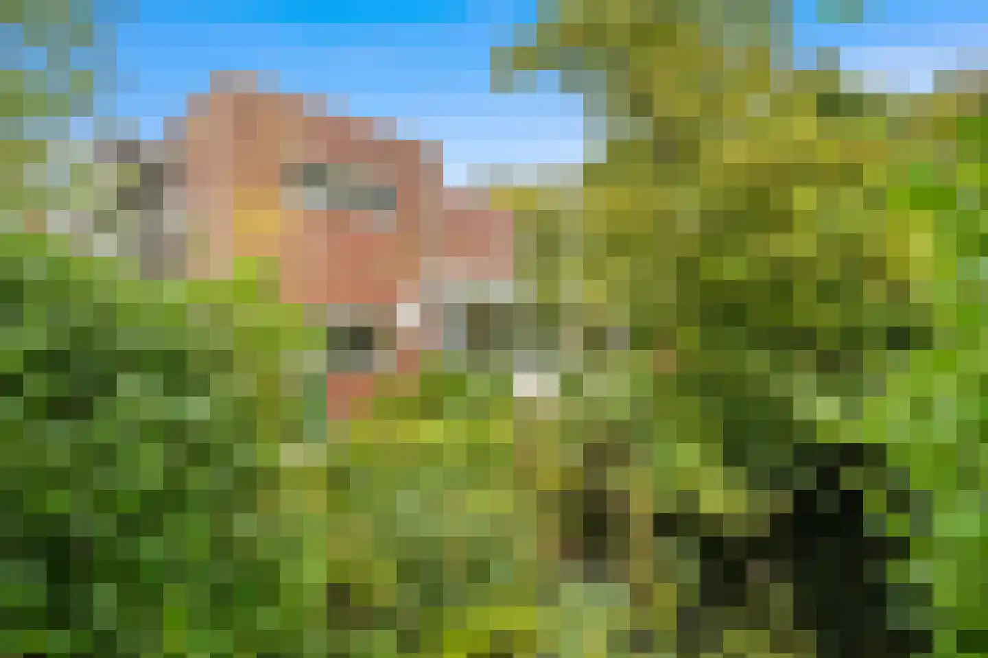 De Kringloop 12 Delft thumbnail 20