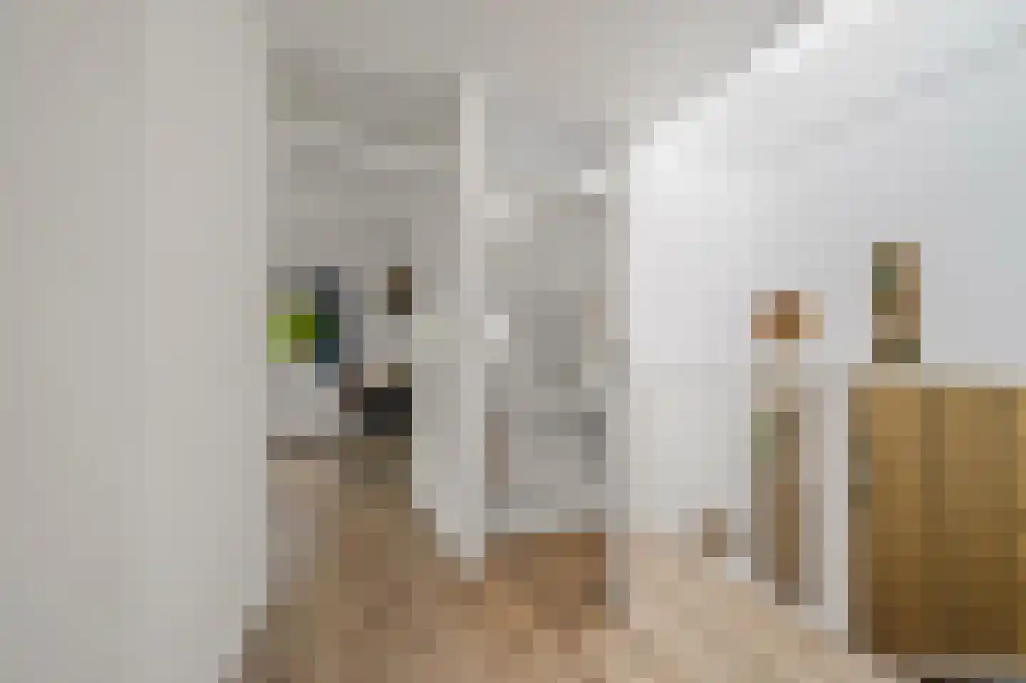 De Kringloop 12 Delft thumbnail 27