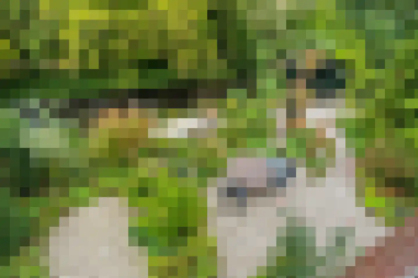 De Kringloop 12 Delft thumbnail 33