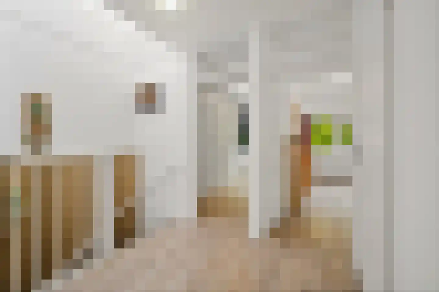 De Kringloop 12 Delft thumbnail 34
