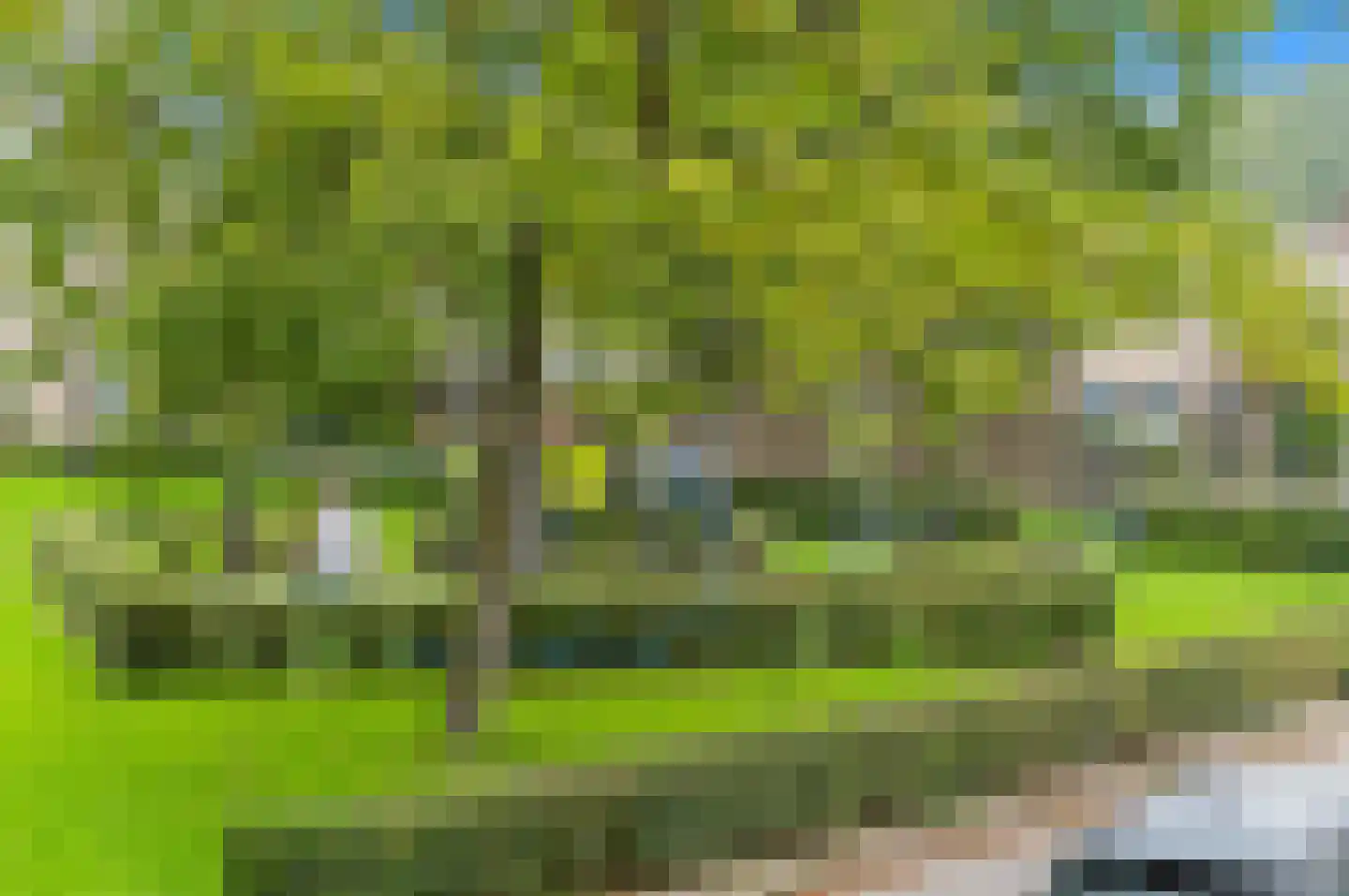 De Kringloop 12 Delft thumbnail 47