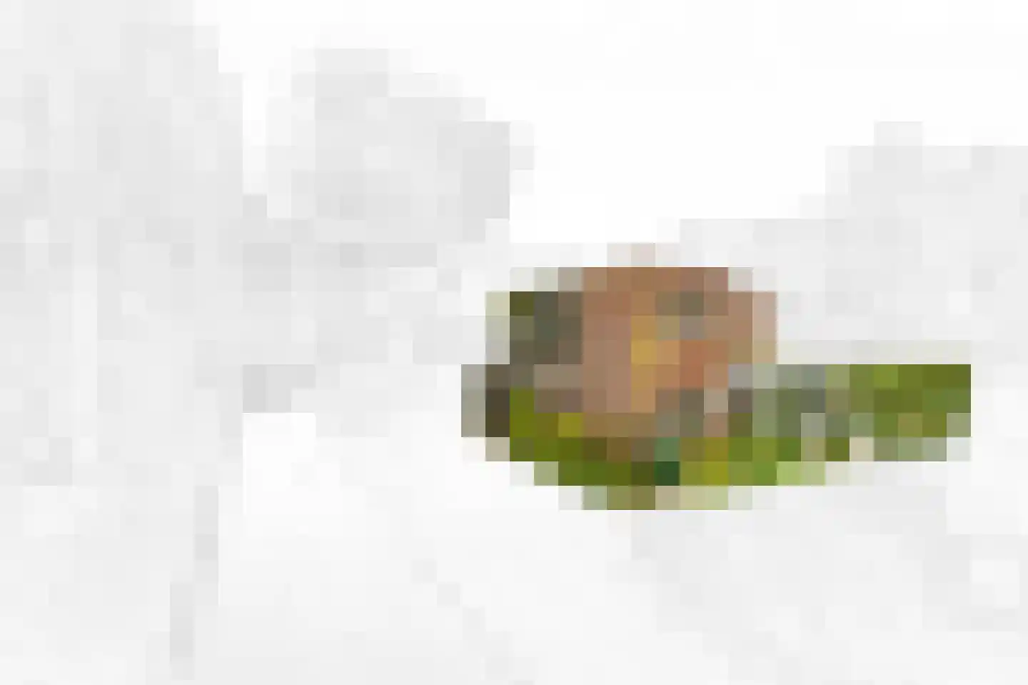 De Kringloop 12 Delft thumbnail 52