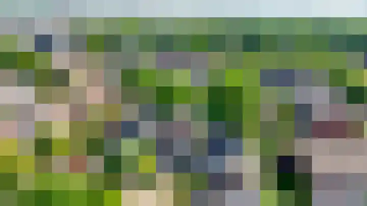 de Kroeskarper 48 Bergschenhoek thumbnail 5