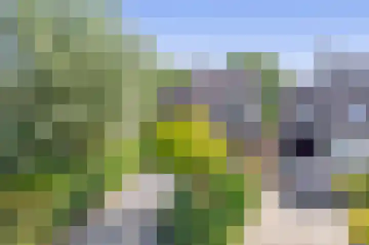 de Kroeskarper 48 Bergschenhoek thumbnail 7