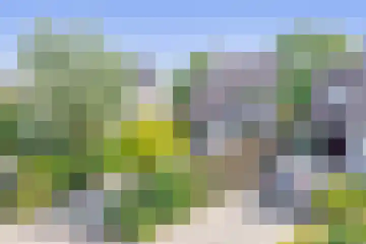 de Kroeskarper 48 Bergschenhoek thumbnail 8