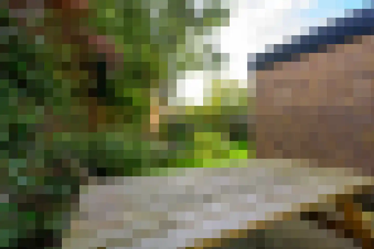 De Kroft 6 Schagerbrug thumbnail 19