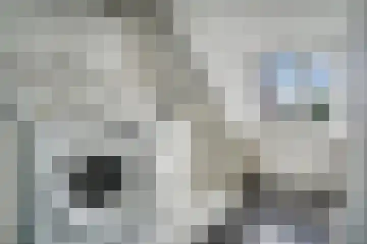 De Krom 15 Katwijk thumbnail 29