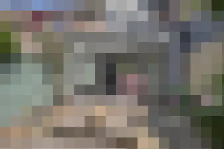 De Krom 15 Katwijk thumbnail 33