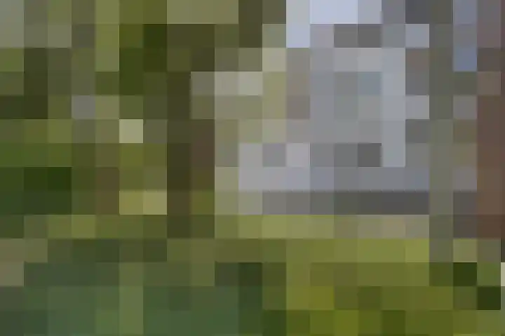 De Krom 15 Katwijk thumbnail 4