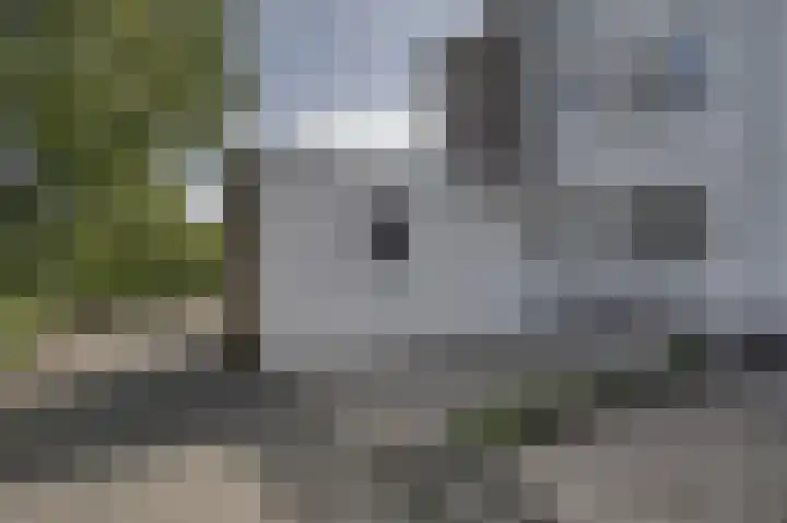 De Krom 15 Katwijk thumbnail 5