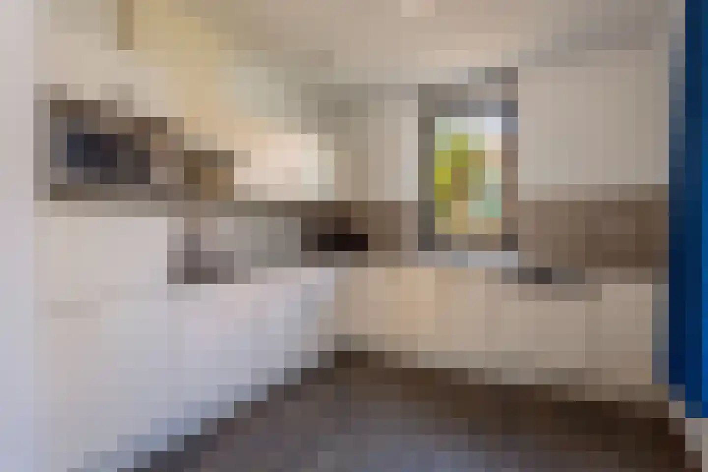 De Krom 215 Volendam thumbnail 10