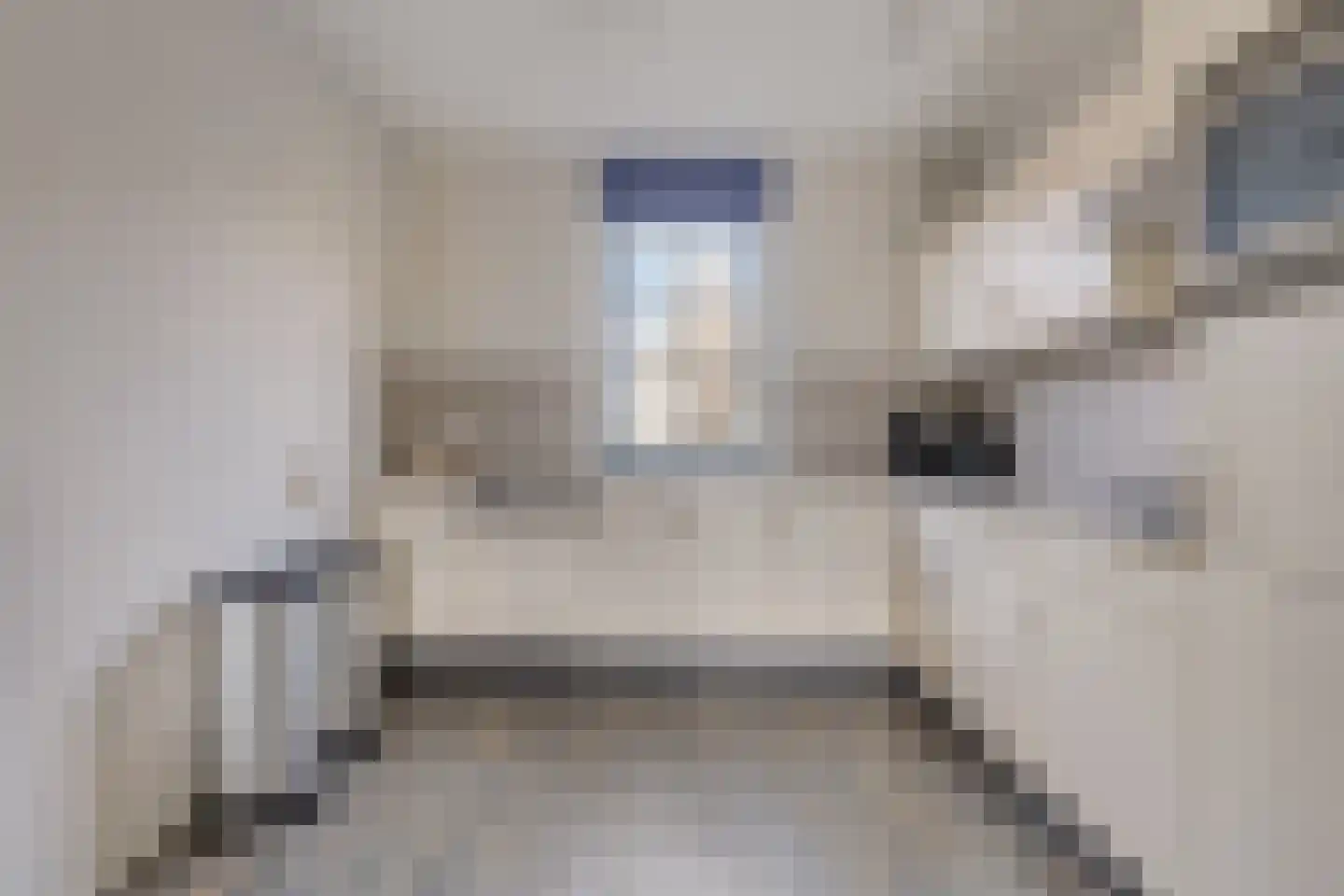 De Krom 221 Volendam thumbnail 12