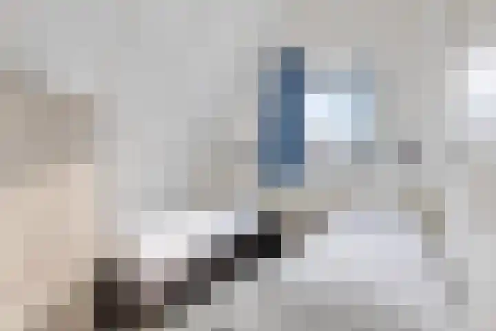 De Krom 221 Volendam thumbnail 27