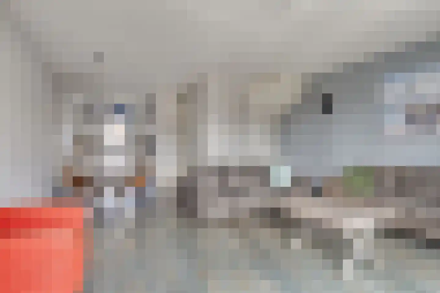 De Krom 221 Volendam thumbnail 8