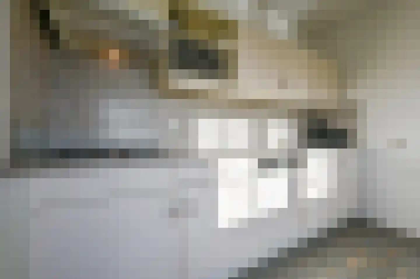 De Krom 240 Volendam thumbnail 15