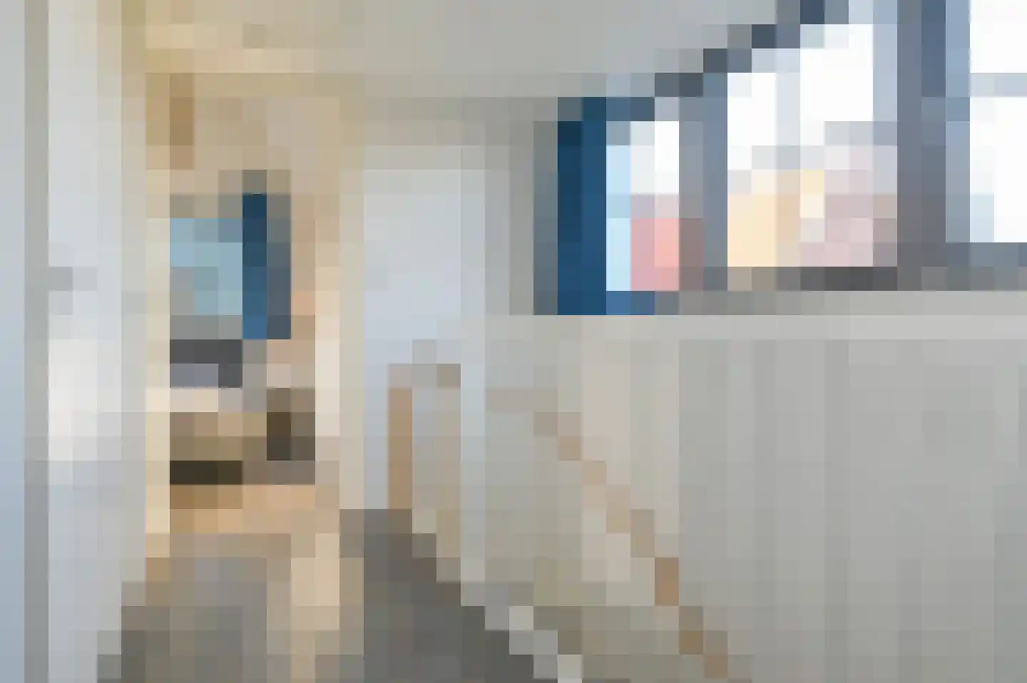De Krom 240 Volendam thumbnail 17