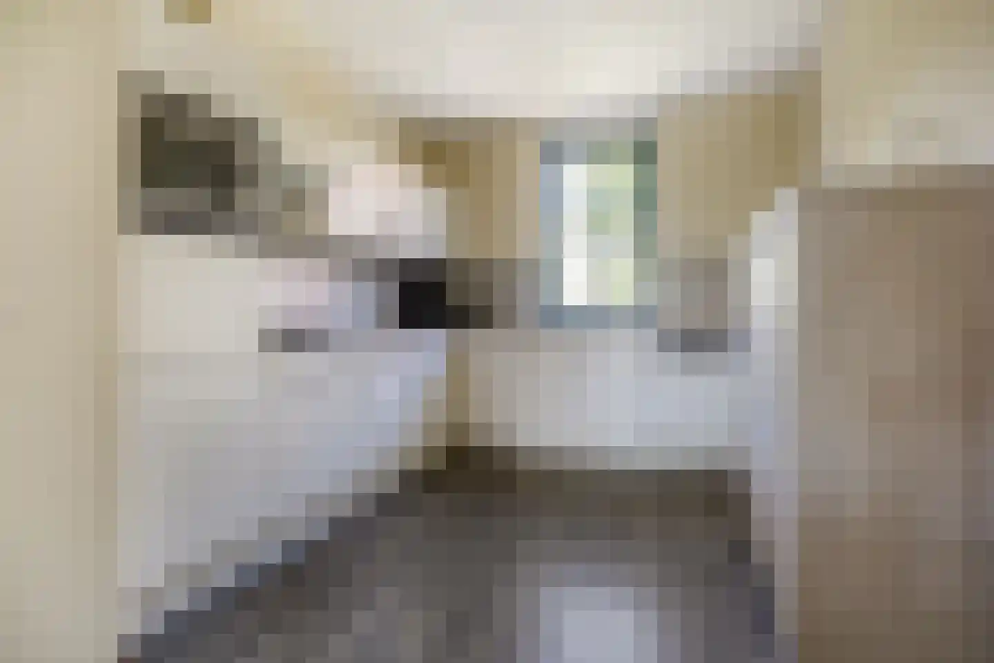 De Krom 244 Volendam thumbnail 10