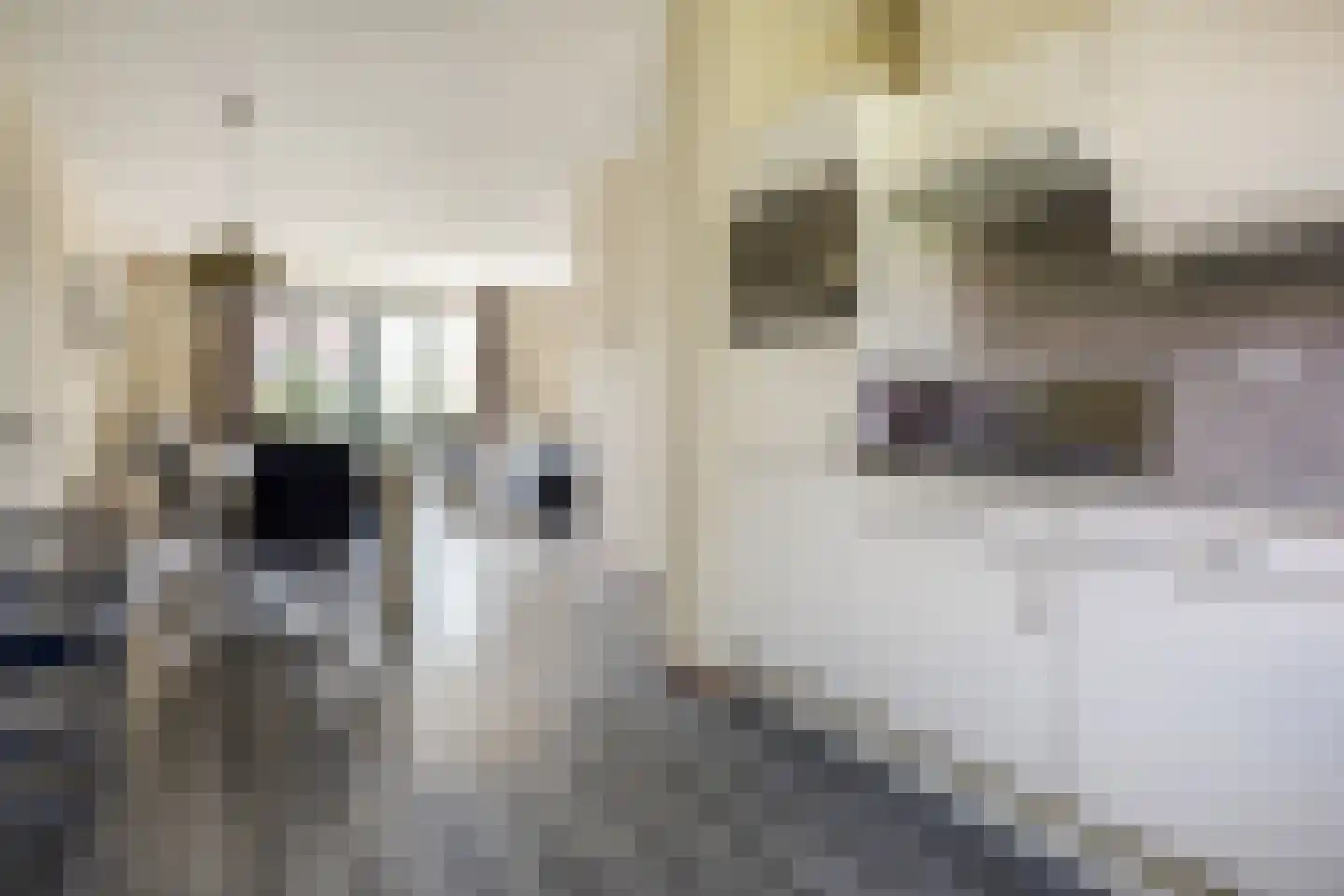 De Krom 244 Volendam thumbnail 11