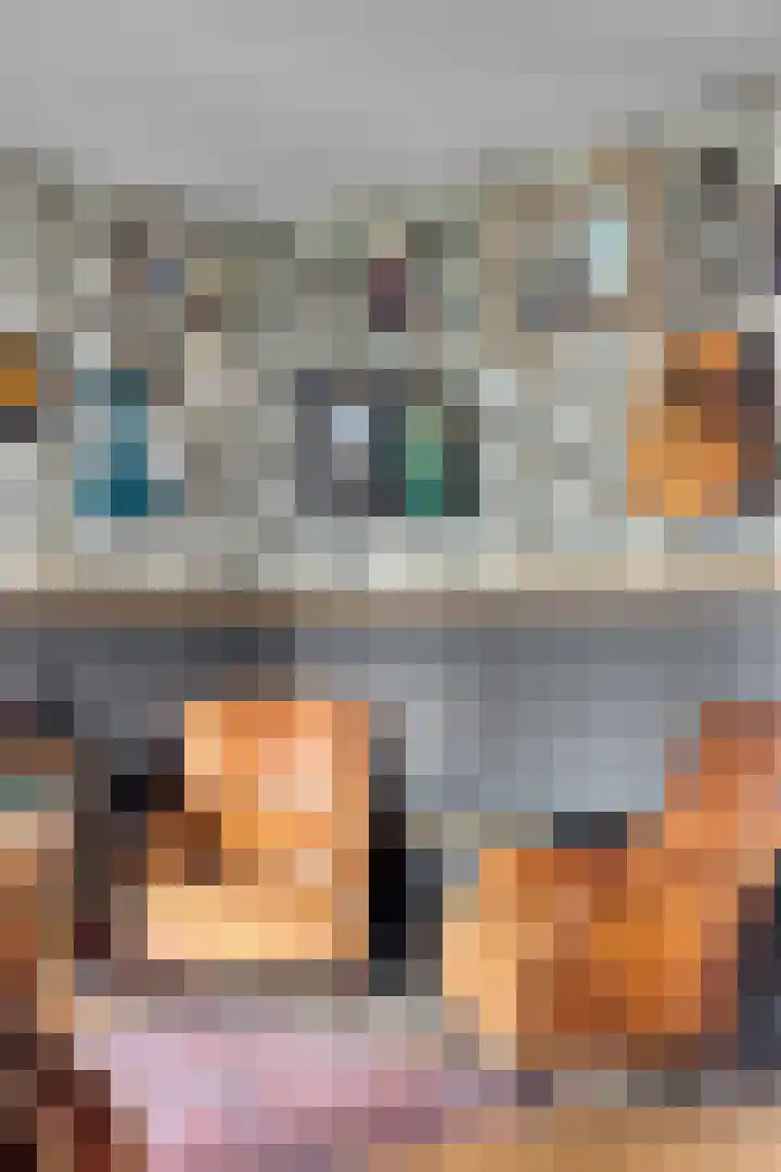 De Kromme Akker 7 Waarland thumbnail 15