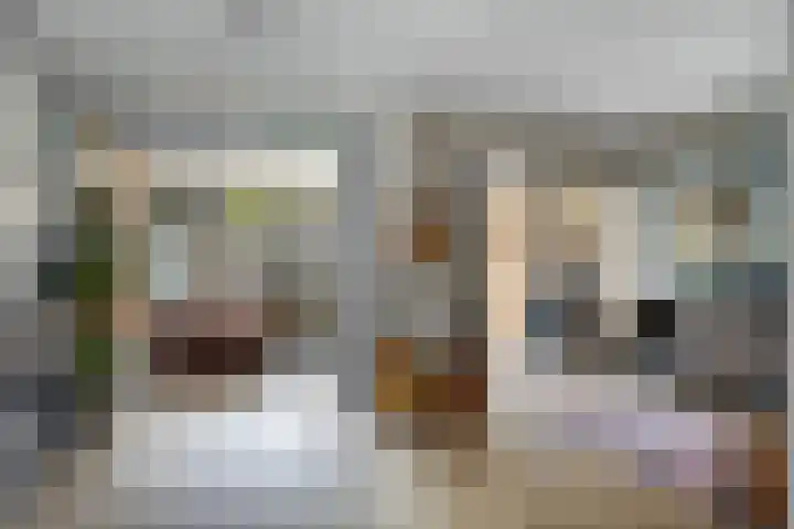 De Kromme Akker 7 Waarland thumbnail 18