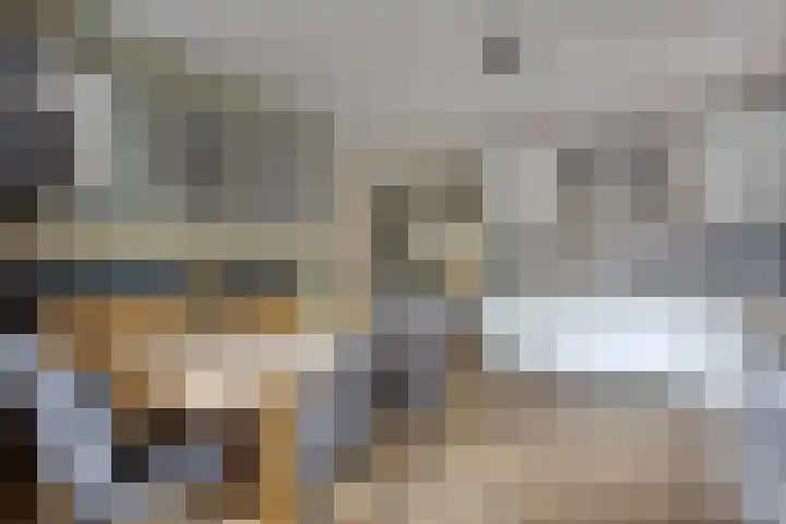 De Kromme Akker 7 Waarland thumbnail 22