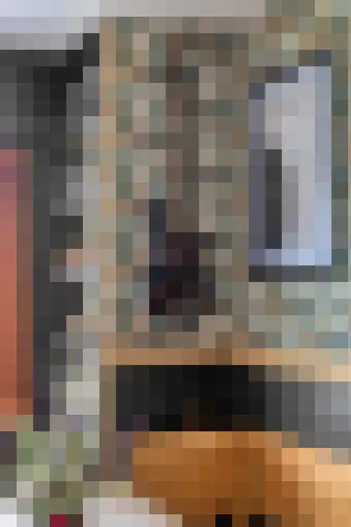 De Kromme Akker 7 Waarland thumbnail 24