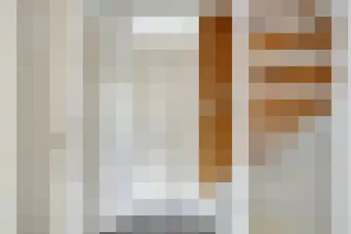 De Kromme Akker 7 Waarland thumbnail 30