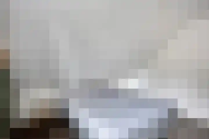 De Kromme Akker 7 Waarland thumbnail 32