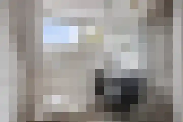 De Kromme Akker 7 Waarland thumbnail 33