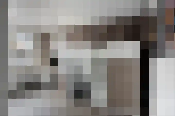 De Kromme Akker 7 Waarland thumbnail 36