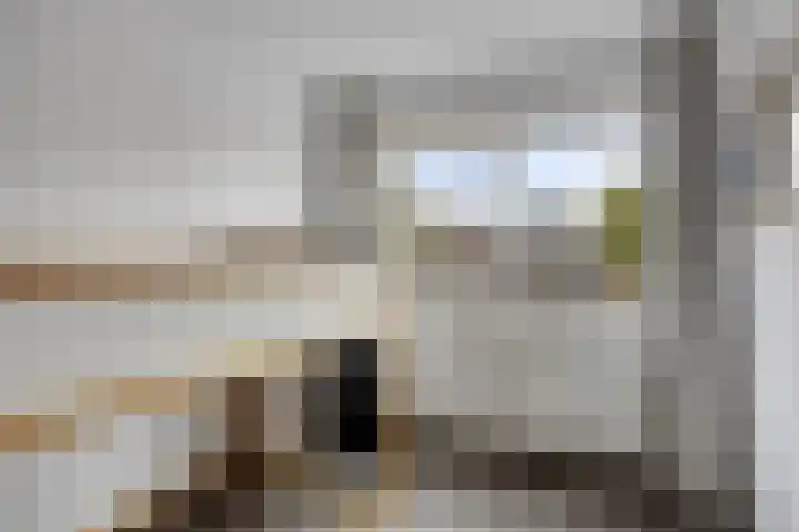 De Kromme Akker 7 Waarland thumbnail 39