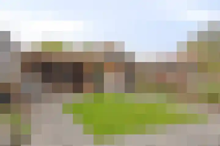De Kromme Akker 7 Waarland thumbnail 4