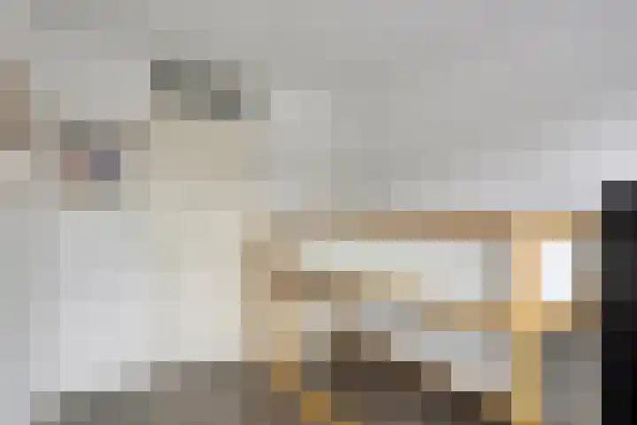 De Kromme Akker 7 Waarland thumbnail 40