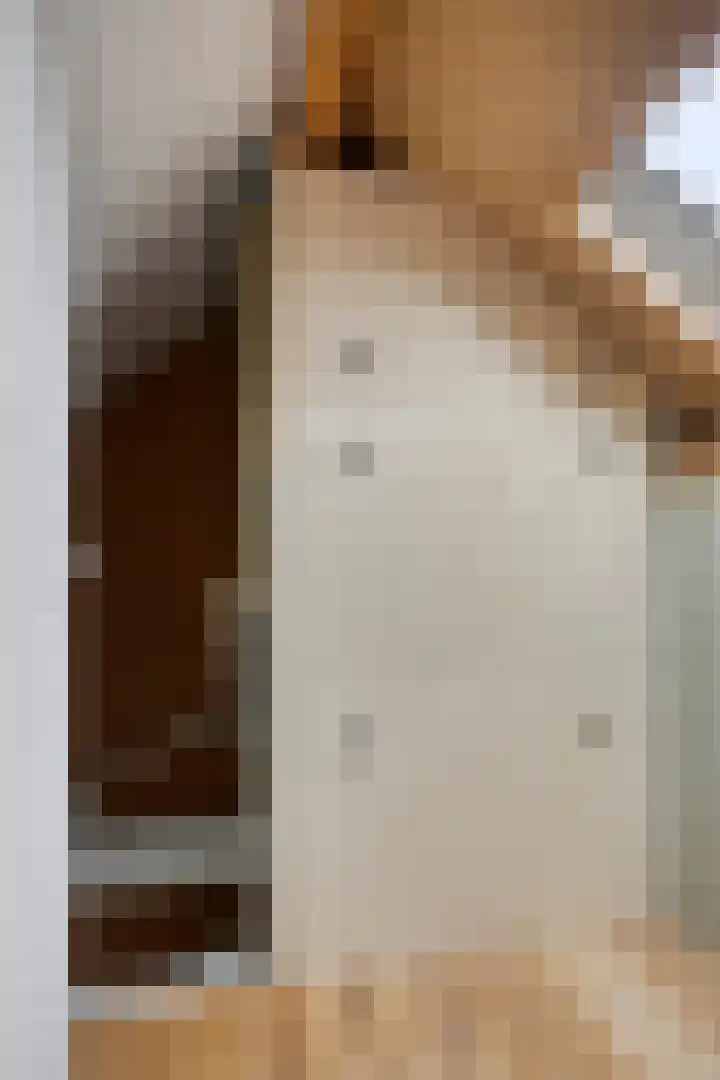 De Kromme Akker 7 Waarland thumbnail 41