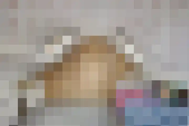 De Kromme Akker 7 Waarland thumbnail 43
