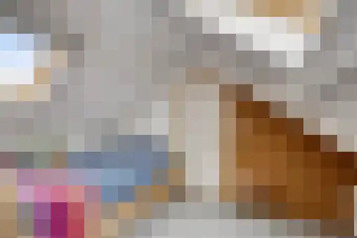 De Kromme Akker 7 Waarland thumbnail 44