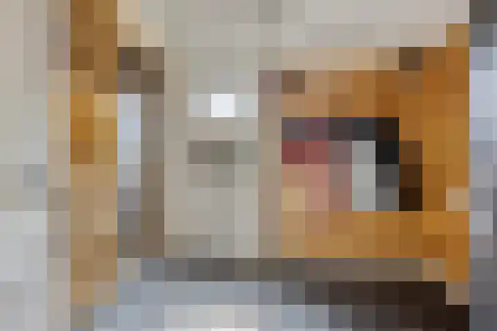 De Kromme Akker 7 Waarland thumbnail 46